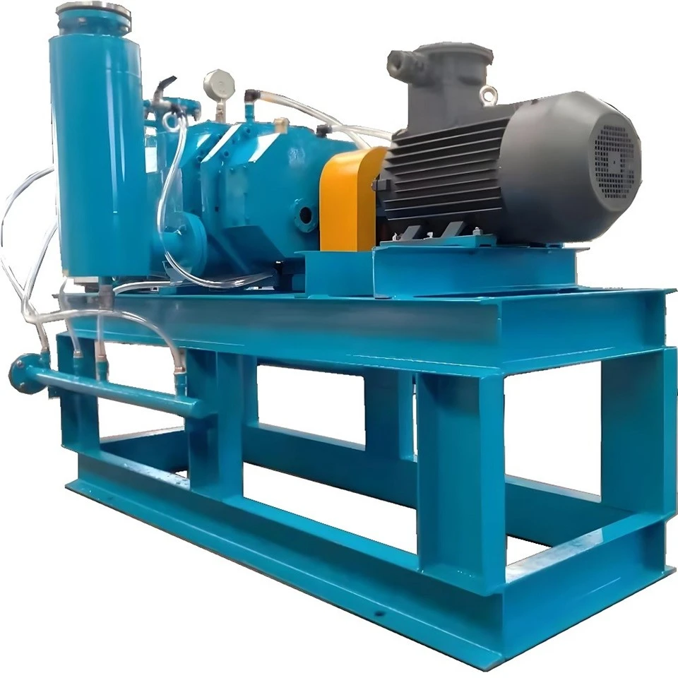 Dry Screw Vacuum Pumps